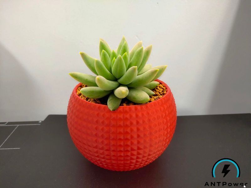 3D принтер Elegoo Neptune 4 Plus (320&times;320&times;385 мм) ElegooNeptune4Plus фото